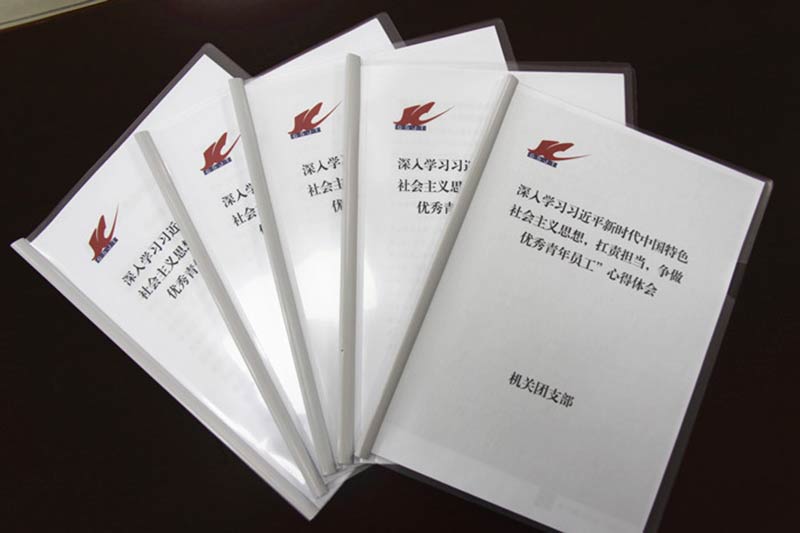 公司團委深入開展學(xué)習(xí)新思想，爭做扛責(zé)擔(dān)當(dāng)優(yōu)秀青年員工活動